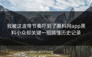 我被这波带节奏吓到了黑料网app黑料小众却关键一招搞懂历史记录