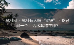 黑料网 · 黑料有人喊“实锤” · 我只问一个：话术套路在哪？
