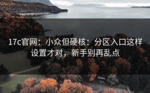 17c官网：小众但硬核：分区入口这样设置才对，新手别再乱点