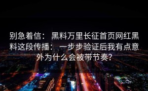 别急着信： 黑料万里长征首页网红黑料这段传播： 一步步验证后我有点意外为什么会被带节奏？