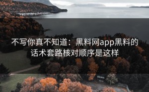不写你真不知道：黑料网app黑料的话术套路核对顺序是这样