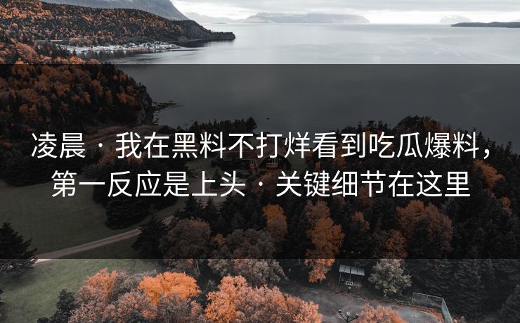 凌晨 · 我在黑料不打烊看到吃瓜爆料，第一反应是上头 · 关键细节在这里