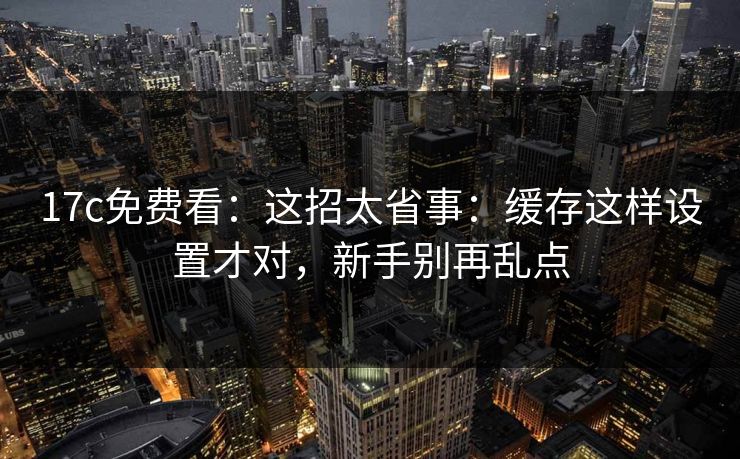 17c免费看：这招太省事：缓存这样设置才对，新手别再乱点