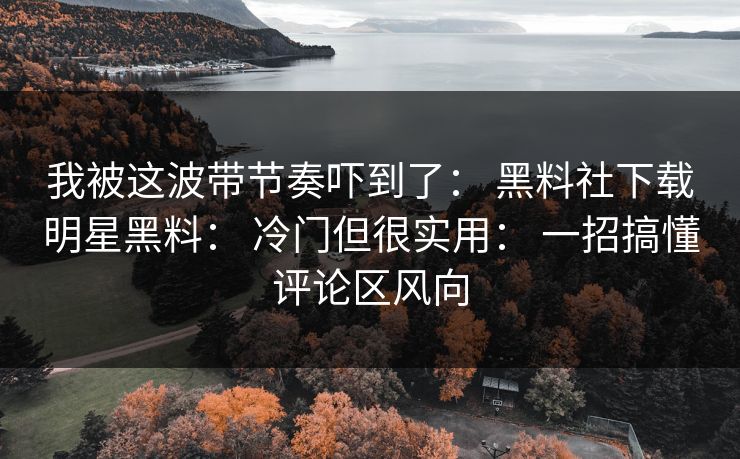 我被这波带节奏吓到了： 黑料社下载明星黑料： 冷门但很实用： 一招搞懂评论区风向
