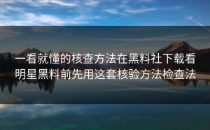 一看就懂的核查方法在黑料社下载看明星黑料前先用这套核验方法检查法