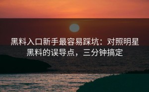 黑料入口新手最容易踩坑：对照明星黑料的误导点，三分钟搞定