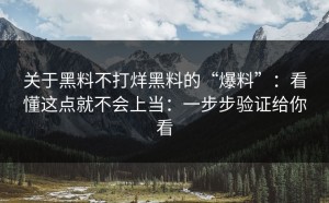 关于黑料不打烊黑料的“爆料”：看懂这点就不会上当：一步步验证给你看