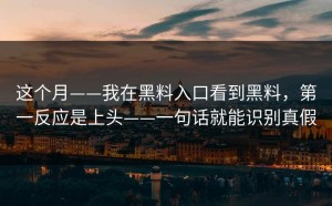 这个月——我在黑料入口看到黑料，第一反应是上头——一句话就能识别真假
