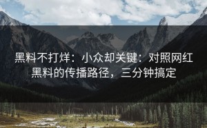 黑料不打烊：小众却关键：对照网红黑料的传播路径，三分钟搞定