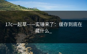 17c一起草——实锤来了：缓存到底在藏什么_